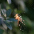 small_img_5636