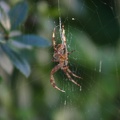 small_img_5637