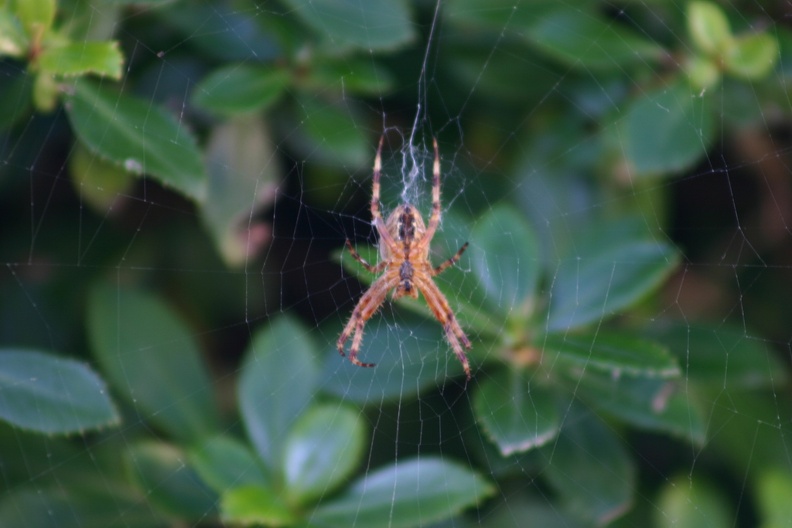 small_img_5639.jpg