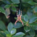 small_img_5639