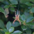 small_img_5640