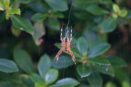 small_img_5640