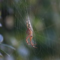small_img_5641