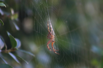 small_img_5641