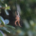 small_img_5643