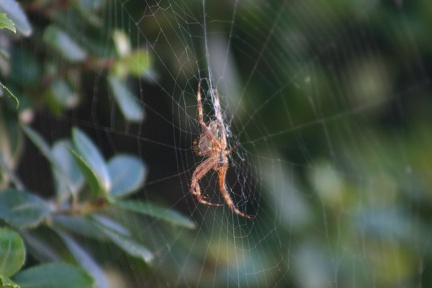 small_img_5643