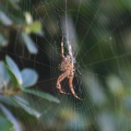 small_img_5644