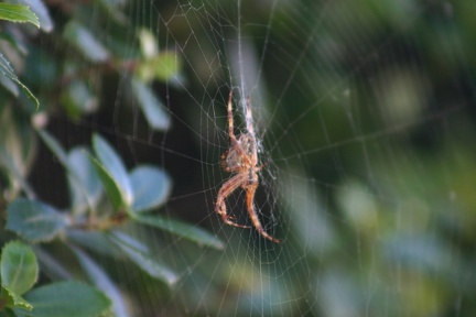 small_img_5644