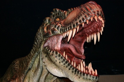 dinosaure