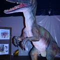 img 5086