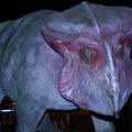 img 5087