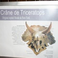 img 5117