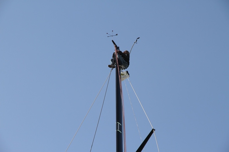 IMG_7217.JPG