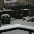 img_6228